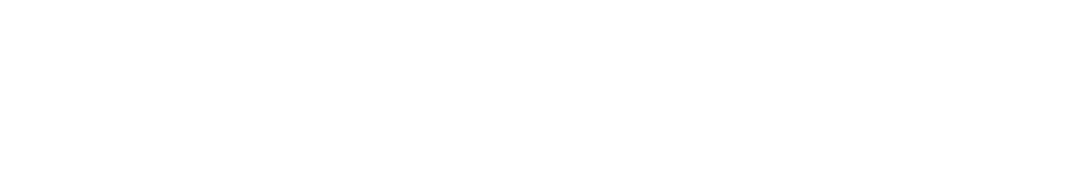 NEXT LEVEL HOLDINGS